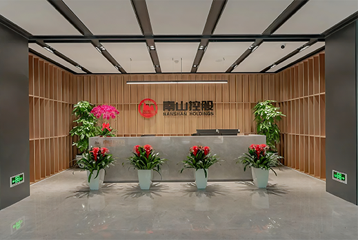 NANSHAN HOLDINGS